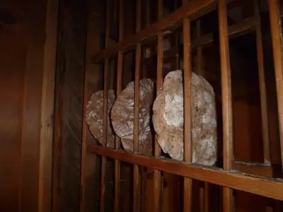 landhaus-strickenmacher-osttirol-buchen