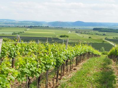 Ausblick von Stratzing nach Göttweig