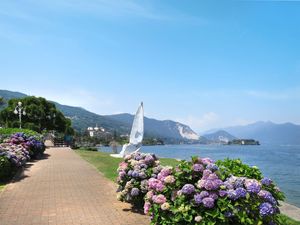 23849817-Ferienwohnung-6-Stresa-300x225-5