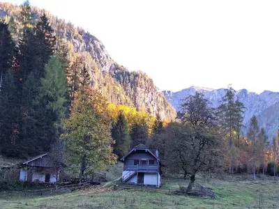Ferienwohnung für 4 Personen (81 m²) in Strobl 5/10
