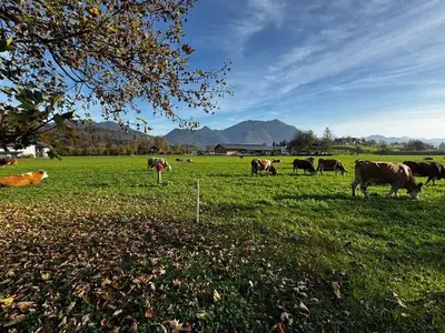 Ferienwohnung für 4 Personen (81 m²) in Strobl 1/10