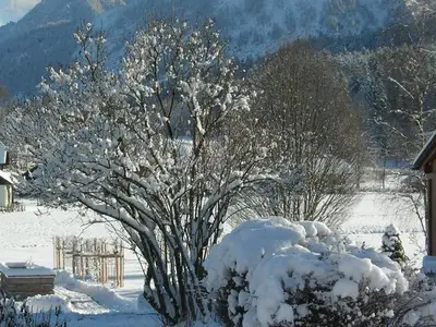 Ferienwohnung für 4 Personen (45 m²) in Abersee 2/10