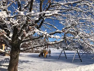 Ferienwohnung für 4 Personen (55 m²) in Abersee 1/10