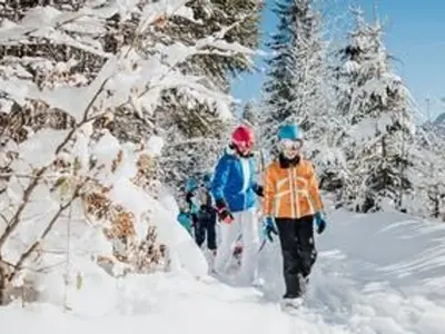 Ferienwohnung für 4 Personen (30 m²) in Strobl 5/10