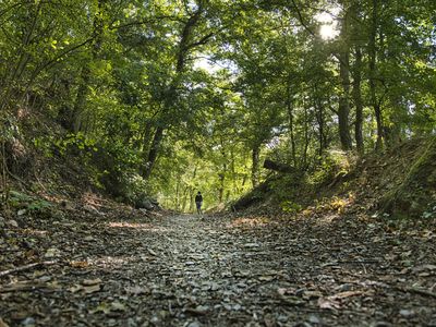 Wandern in Stromberg