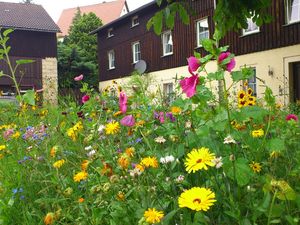 19340351-Ferienwohnung-4-Struppen-300x225-1