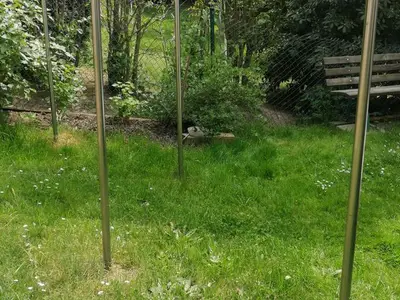 Ferienwohnung für 6 Personen (70 m²) in Struppen 8/10