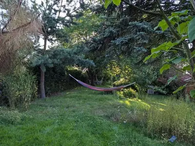 Ferienwohnung für 4 Personen (50 m²) in Struppen 6/10