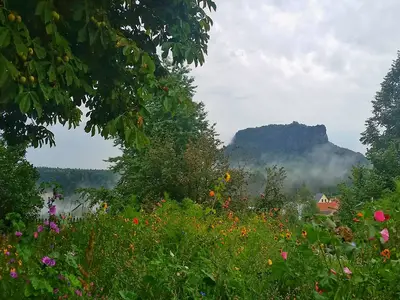 ViewSummer