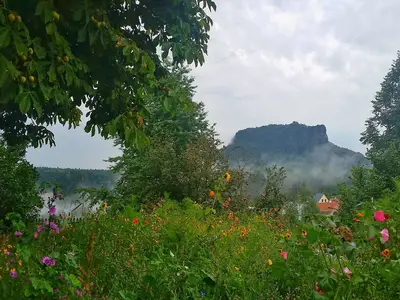 ViewSummer