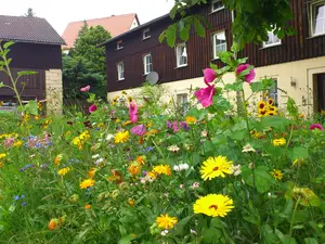 Ferienwohnung für 4 Personen (60 m²) in Struppen
