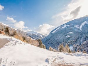 23851763-Ferienwohnung-3-Stumm im Zillertal-300x225-5