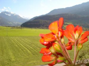 24035051-Ferienwohnung-10-Stumm im Zillertal-300x225-3