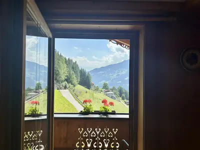 Ausblick aus der Küche