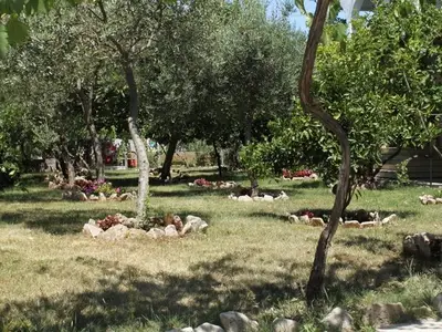 Ferienwohnung für 4 Personen in Sućuraj 9/10
