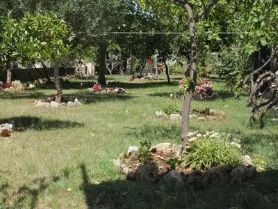 Ferienwohnung für 4 Personen in Sućuraj 10/10
