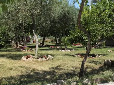 Ferienwohnung für 2 Personen in Sućuraj 8/10