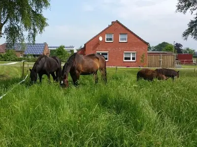 Ferienwohnung für 2 Personen (62 m²) in Südbrookmerland 3/10