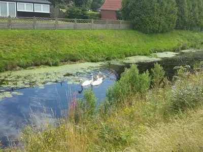 Ferienwohnung für 2 Personen (62 m²) in Südbrookmerland 4/10