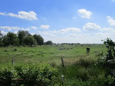 Ferienwohnung für 4 Personen (70 m²) in Südbrookmerland 8/10