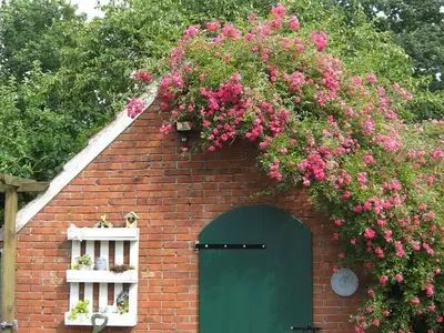 Ferienwohnung für 2 Personen (40 m²) in Südbrookmerland 2/10