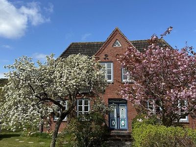 Ferienwohnung für 2 Personen (40 m²) in Süddorf 1/10