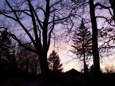 Ferienwohnung für 3 Personen (40 m²) in Hösseringen 9/10