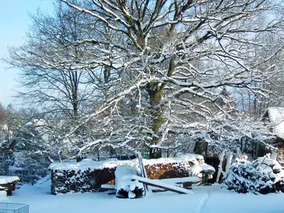 Ferienwohnung für 3 Personen (40 m²) in Hösseringen 10/10