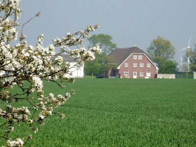 Hof aus der Ferne