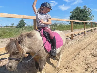 reiten