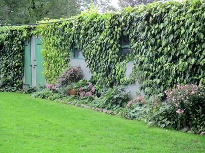 Ferienwohnung für 3 Personen (30 m²) in Rantrum 3/9