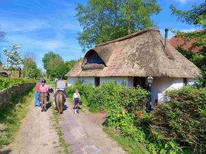 24027289-Ferienwohnung-4-Süderdeich-300x225-2