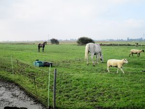 18702618-Ferienwohnung-3-Südermarsch-300x225-1