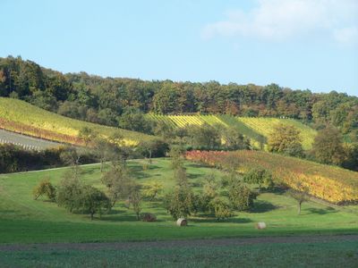 Weinlage Pfaffenberg