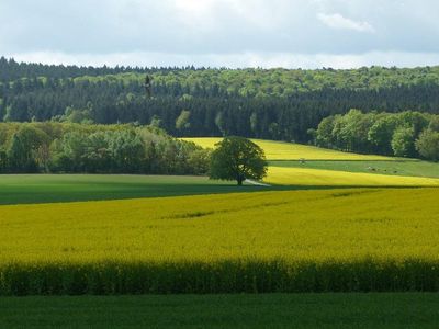 Landschaft