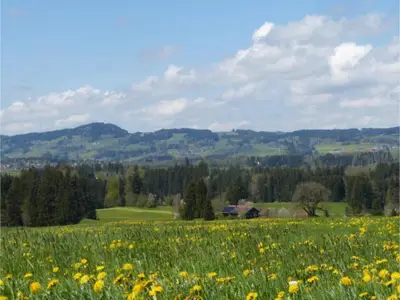 Ausblick