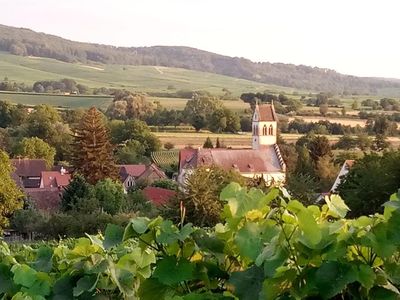 Ferienwohnung im Gärtle