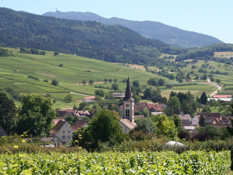 22684833-Ferienwohnung-6-Sulzburg-800x600-1