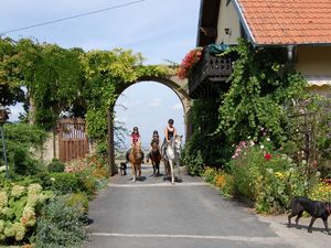 22139539-Ferienwohnung-8-Sulzfeld-300x225-2