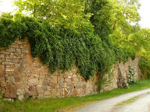 19205401-Ferienwohnung-8-Sulzfeld-300x225-4