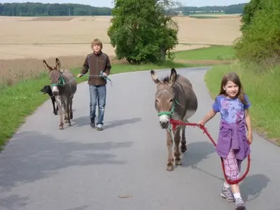 Ferienwohnung für 7 Personen (90 m²) in Sulzfeld 1/7