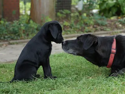 Ferienwohnung für 6 Personen (75 m²) in Sulzfeld 1/10