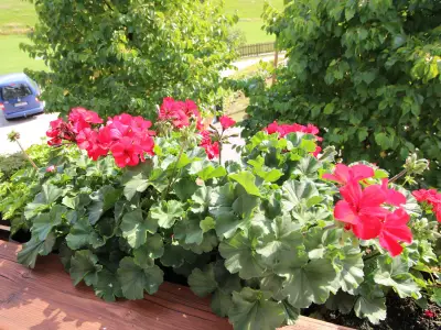 Ferienwohnung für 4 Personen (67 m²) in Sundern 6/7