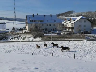 Ferienwohnung für 4 Personen (67 m²) in Sundern 1/10