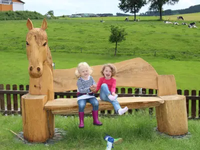 Ferienwohnung für 4 Personen (67 m²) in Sundern 1/10