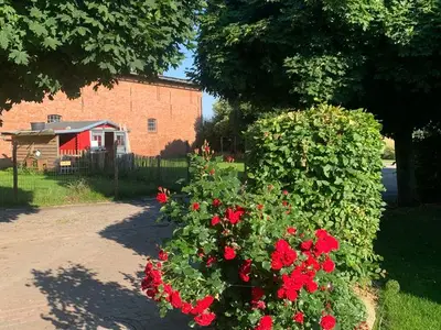 Ferienwohnung für 8 Personen (120 m²) in Stahlbrode 7/10