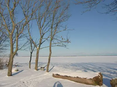 Ferienwohnung für 3 Personen (45 m²) in Tremt 1/10