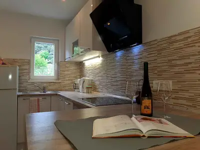 Ferienwohnung für 4 Personen (65 m²) in Supetarska Draga 8/10