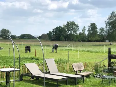 Ferienwohnung für 4 Personen (100 m²) in Suthfeld 7/10