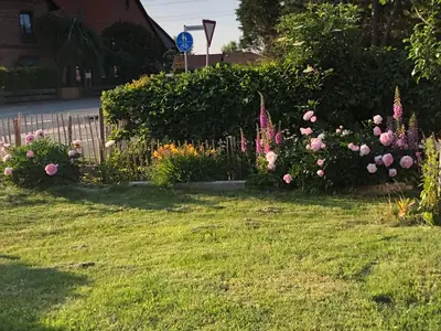 Ferienwohnung für 4 Personen (100 m²) in Suthfeld 8/10